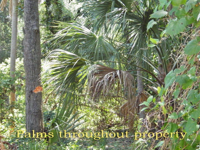 707 Jungle Road Edisto Island, SC 29438 - Photo 7 of 23 4