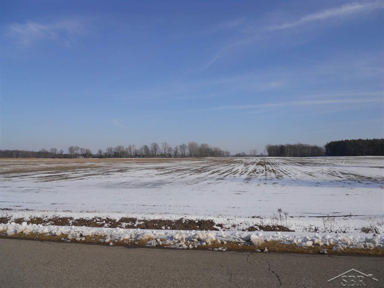 8646 Barkley Road Millington, MI 48746 - Photo 51 of 51 31277365-50.JPG