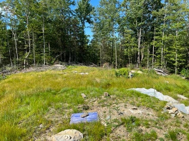 1227 Cross Road Wolcott, VT 05680 - Photo 5 of 28
