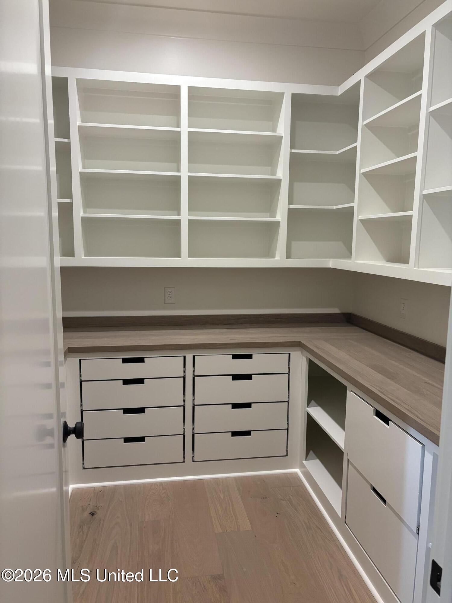 115 Hidden Glades Ridgeland, MS 39157 - Photo 10 of 15 Pantry
