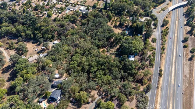 a view of a house with a plant