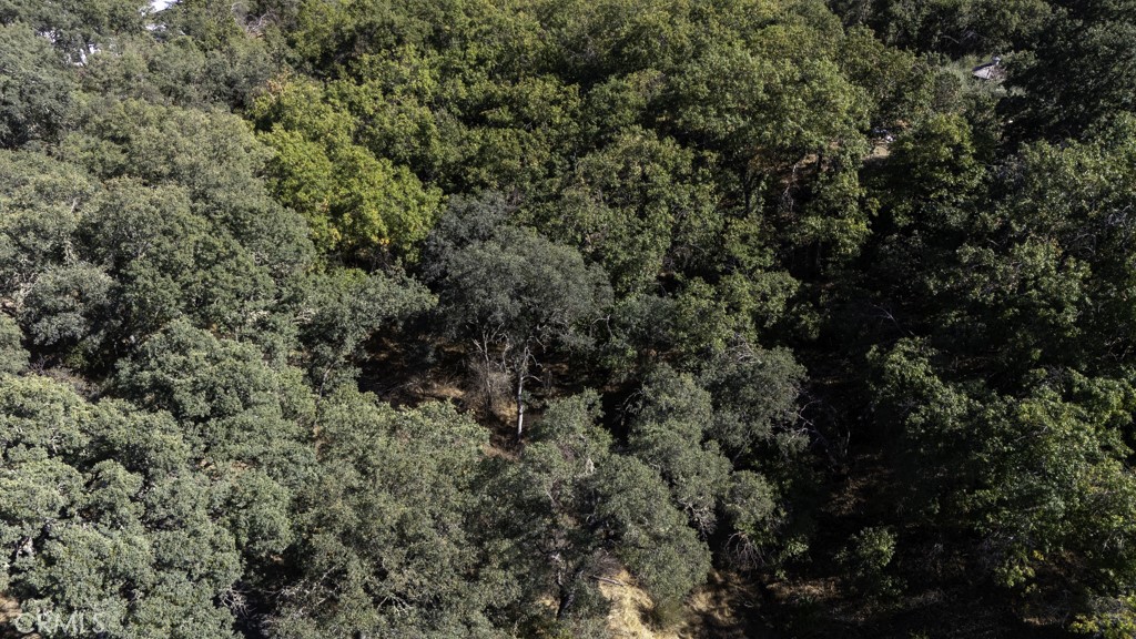 2702 Hill Road East Lakeport, CA 95453 - Photo 12 of 16 an outdoor view of house with green space