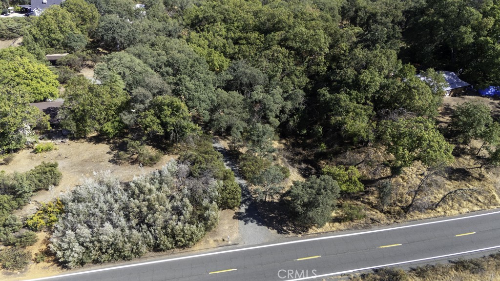 2702 Hill Road East Lakeport, CA 95453 - Photo 13 of 16 a view of a yard with a tree