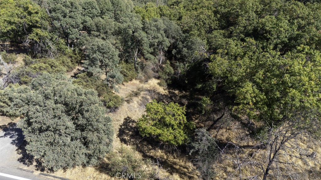 2702 Hill Road East Lakeport, CA 95453 - Photo 14 of 16 a view of a yard