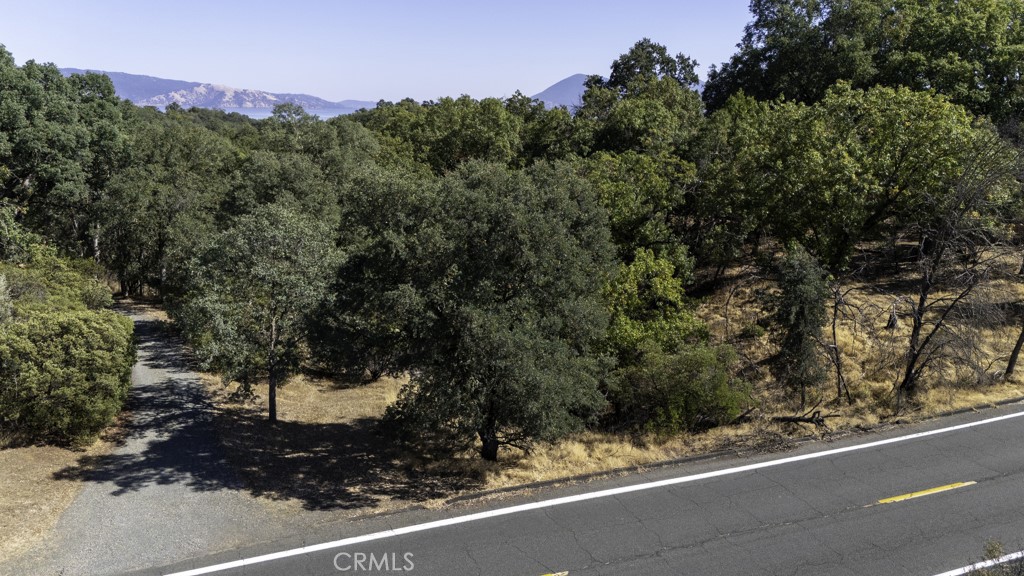 2702 Hill Road East Lakeport, CA 95453 - Photo 15 of 16 a view of a yard from a window