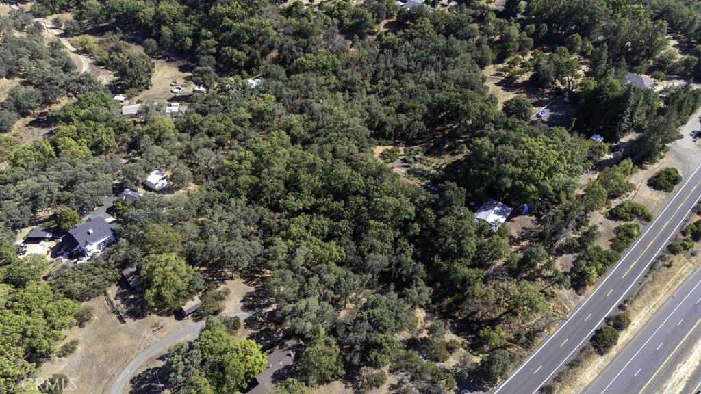 2702 Hill Road East Lakeport, CA 95453 - Photo 6 of 16 a view of a garden with plants