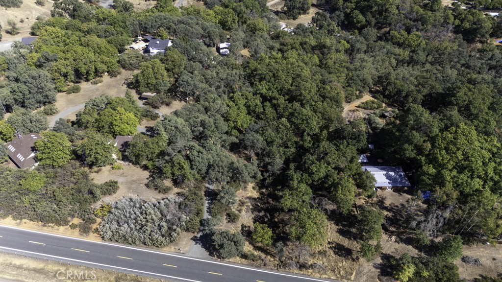 2702 Hill Road East Lakeport, CA 95453 - Photo 7 of 16 a view of a yard with a tree