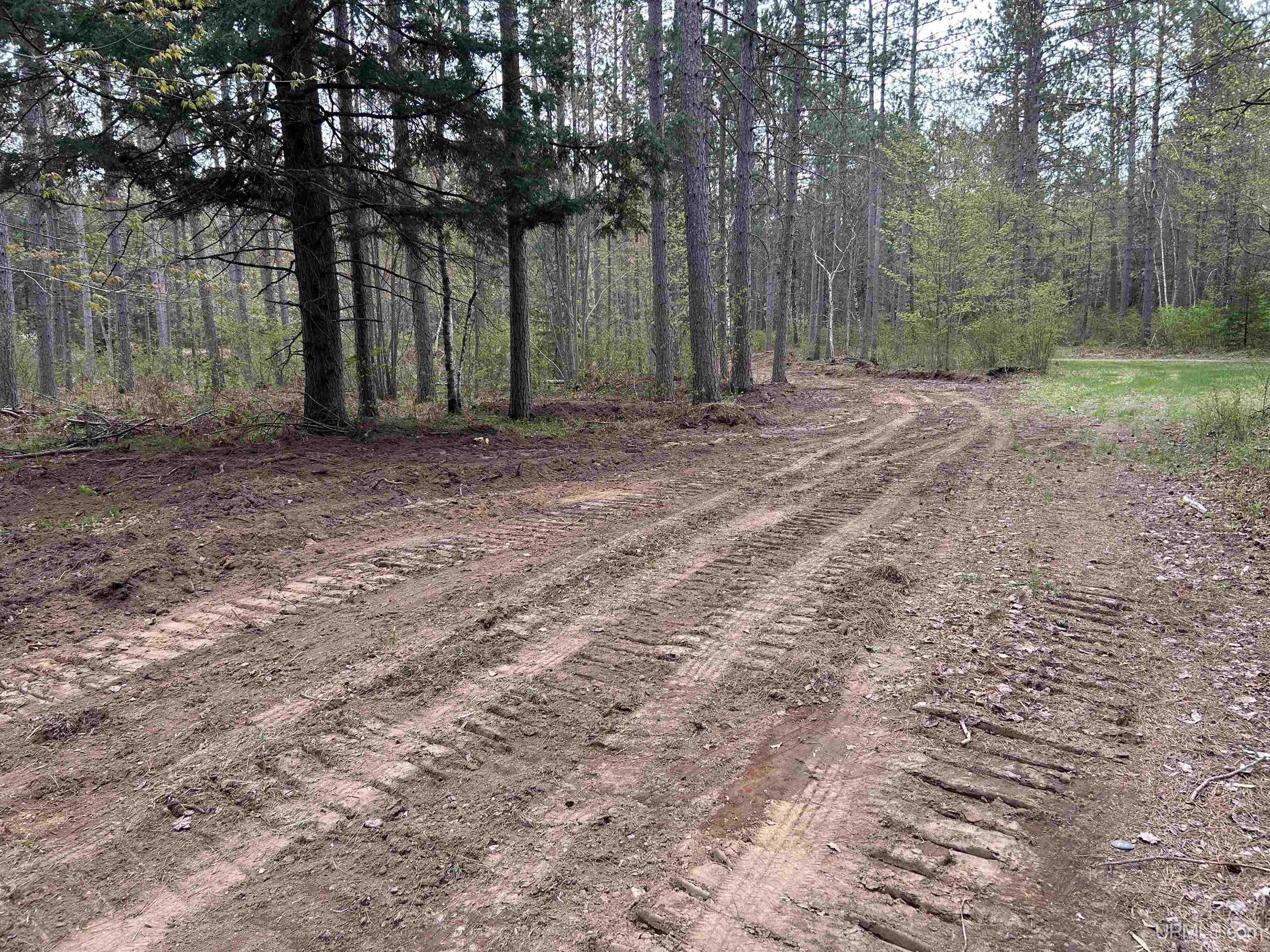 Tbd Parcel 2 Paint River Road Crystal Falls, MI 49920 - Photo 7 of 8
