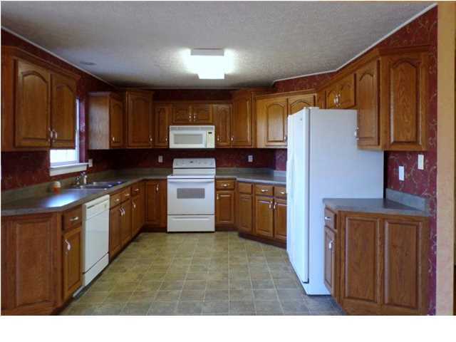 763 Spring Meadows Drive Ringgold, GA 30736 - Photo 3 of 13 Additional Photo