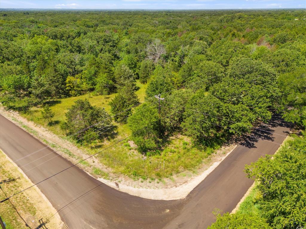 Lot 3 North Shore Road Quinlan, TX 75474 - Photo 5 of 10