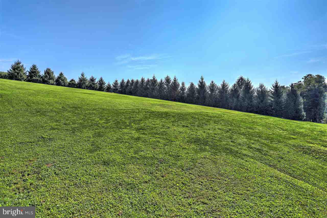 Lot 2 Fulton School Road Felton, PA 17322 - Photo 12 of 32 a view of a field with grass and trees in the background