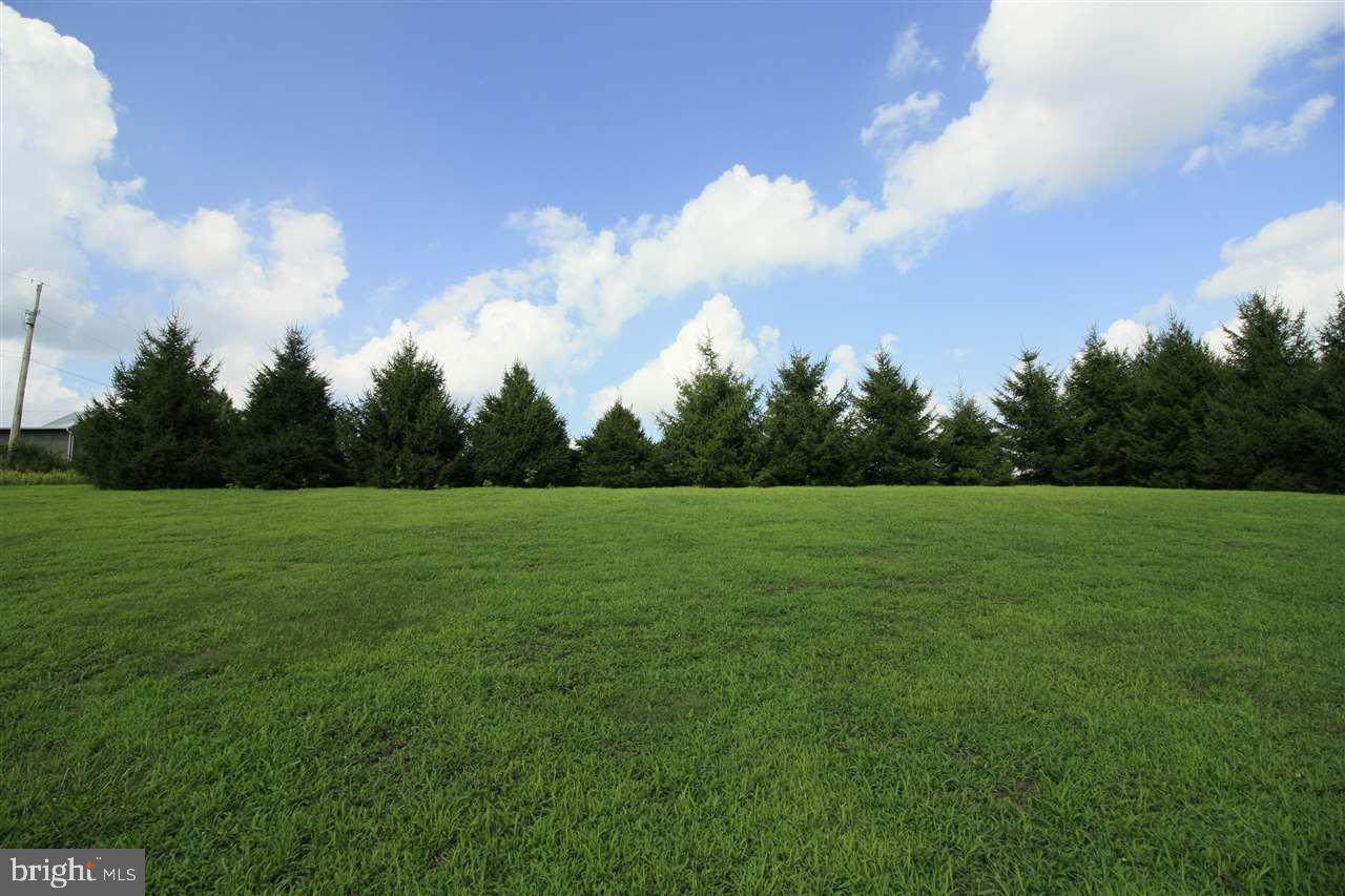 Lot 2 Fulton School Road Felton, PA 17322 - Photo 13 of 32 a view of field with green space