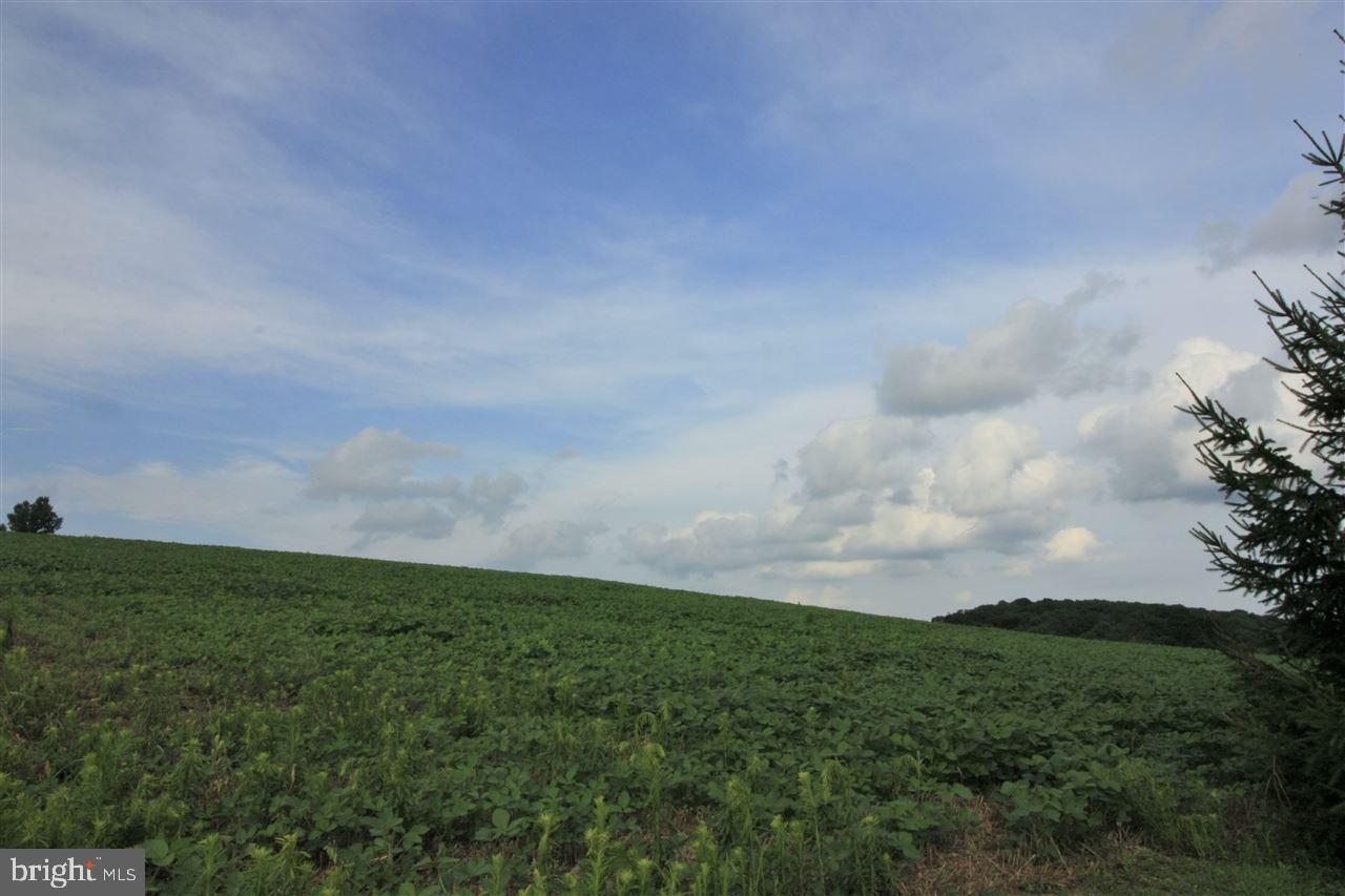Lot 2 Fulton School Road Felton, PA 17322 - Photo 25 of 32 a view of a big room with a big yard