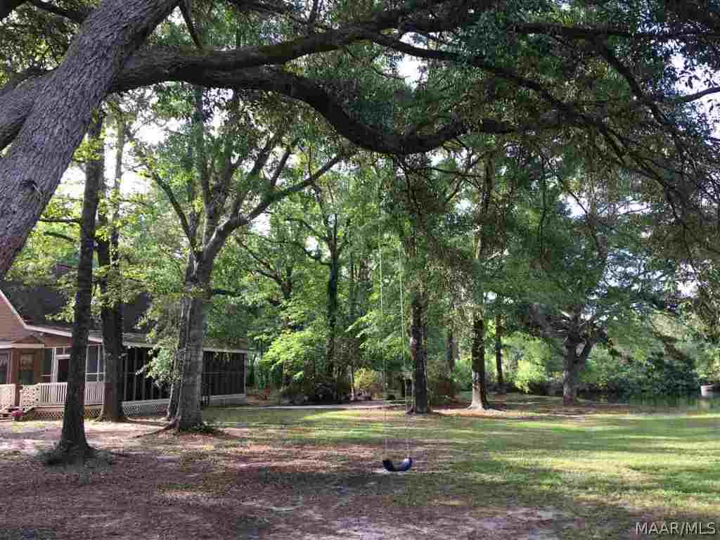 2037 Iron Bridge Road Samson, AL 36477 - Photo 22 of 36 Back Yard