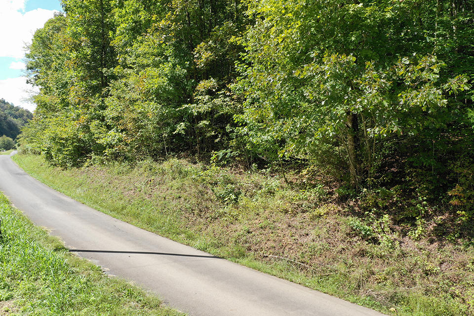 45.08 Baysinger Road Newport, TN 37821 - Photo 1 of 11 org_2a171b74f60ed270_1538244204000