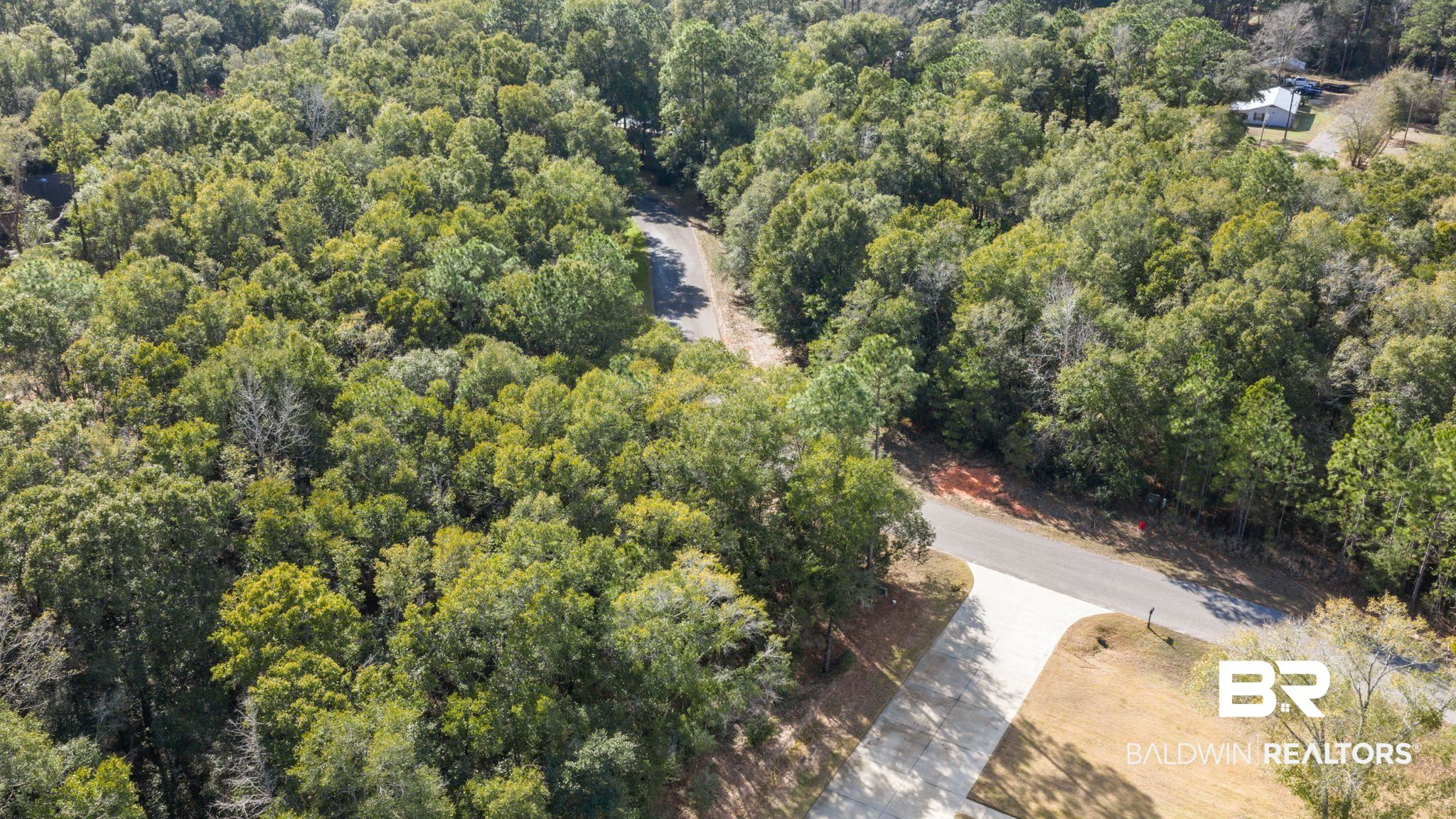 0 Pandion Drive Foley, AL 36535 - Photo 6 of 19