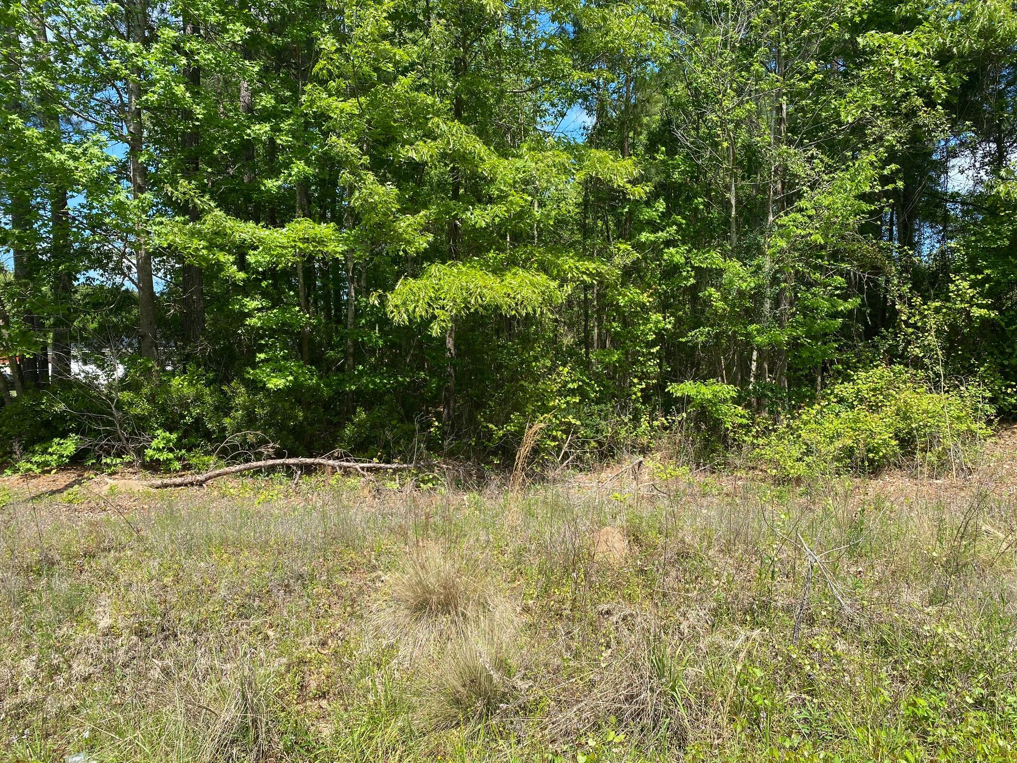 1070 Schurlknight Road St. Stephen, SC 29479 - Photo 1 of 5 IMG_0413