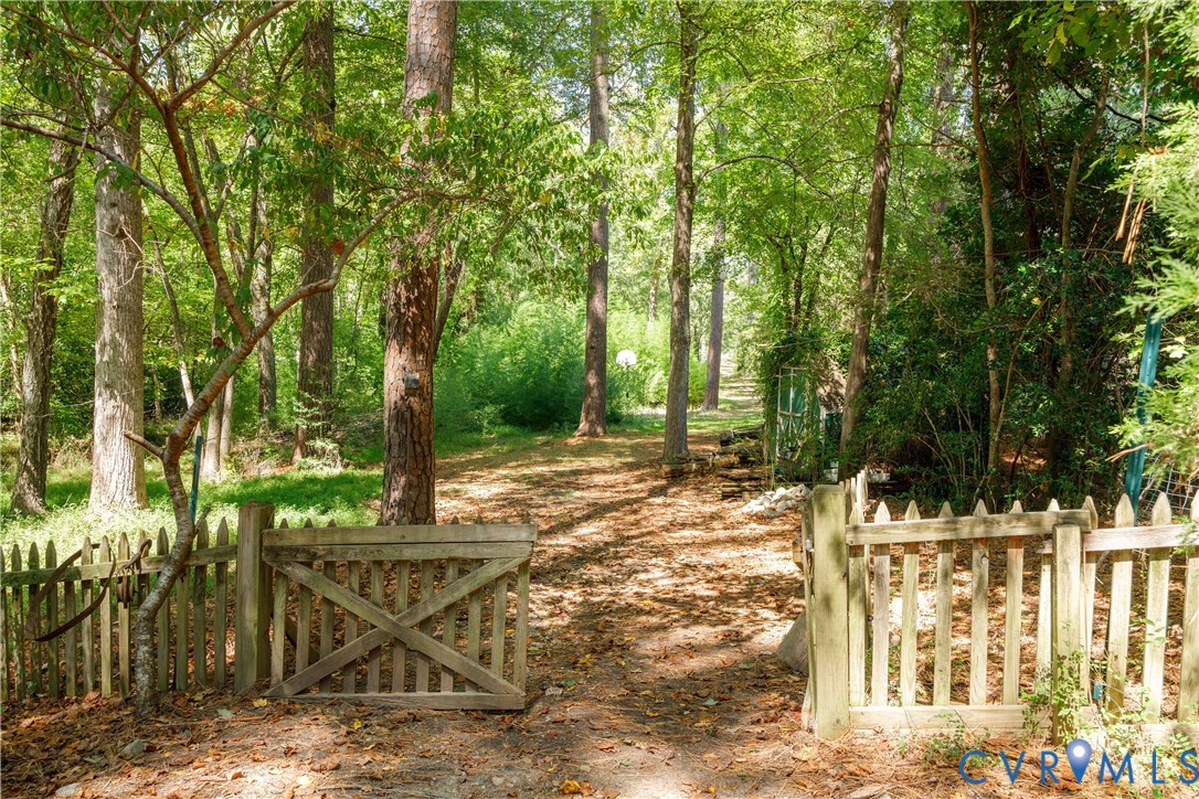 10760 Cherokee Road Midlothian, VA 23113 - Photo 38 of 43 a view of a yard with plants and trees