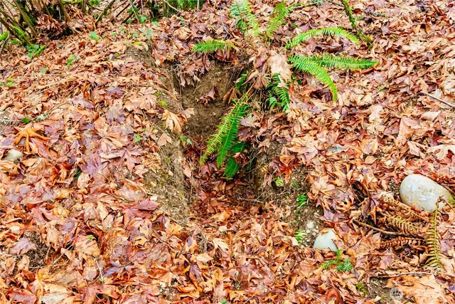 $74,950 | 20508 40th Ave Court East, Spanaway, WA 98387