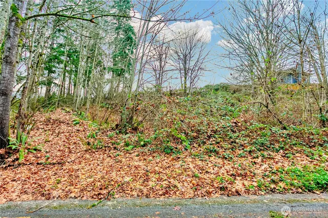 $74,950 | 20508 40th Ave Court East, Spanaway, WA 98387