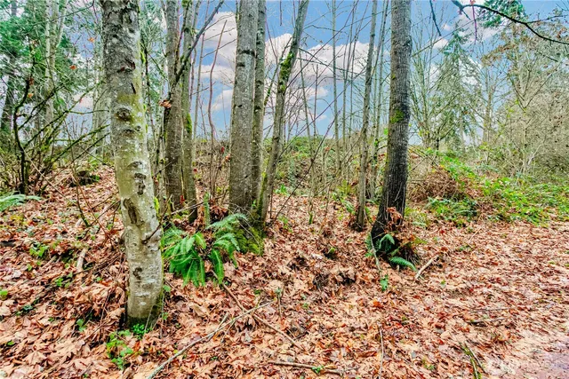 $74,950 | 20508 40th Ave Court East, Spanaway, WA 98387