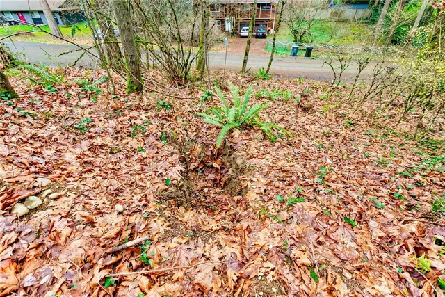 $74,950 | 20508 40th Ave Court East, Spanaway, WA 98387