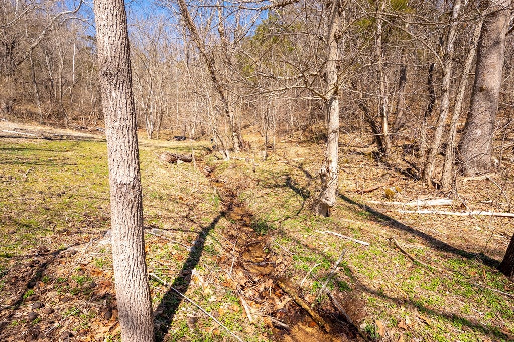 4187 Clarks Ferry Road, Unit 68/82 Draper, VA 24324 - Photo 65 of 75 Gallery Image 65