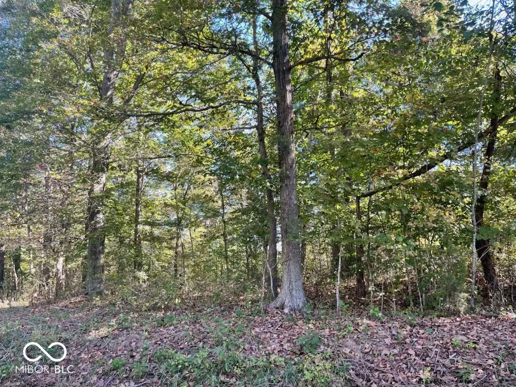 Tbd Ditney Ridge Road Bedford, IN 47421 - Photo 3 of 7