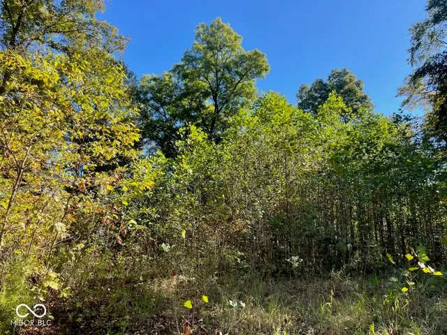 $98,000 | Tbd Ditney Ridge Road, Bedford, IN 47421