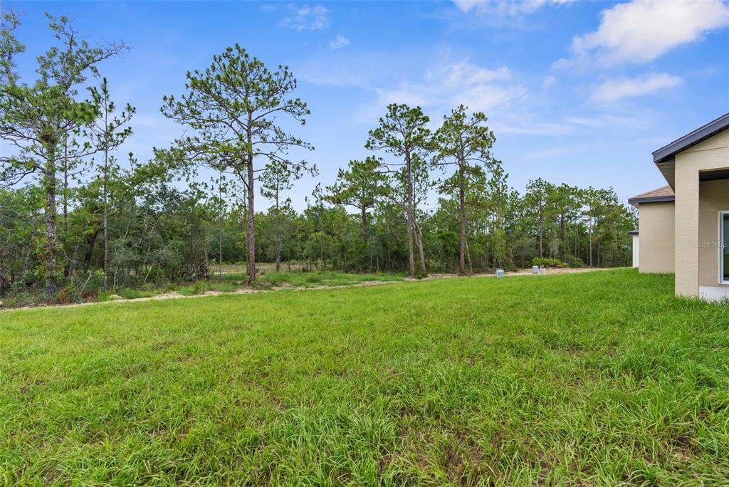 16123 Penn State Road Weeki Wachee, FL 34614 - Photo 36 of 49 Gallery Image 36