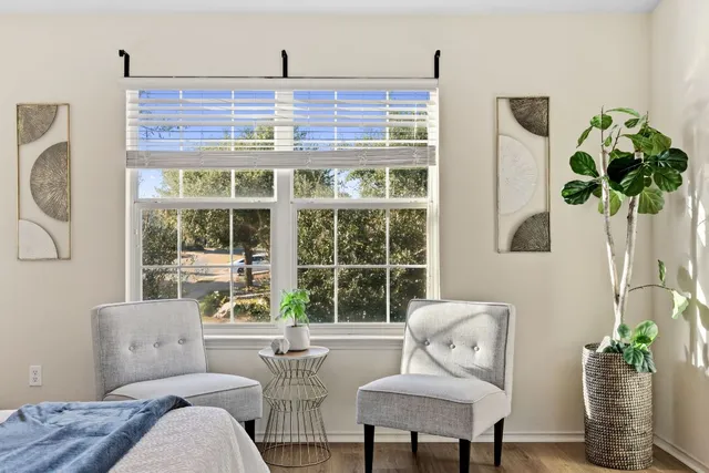 a living room with furniture and a potted plant