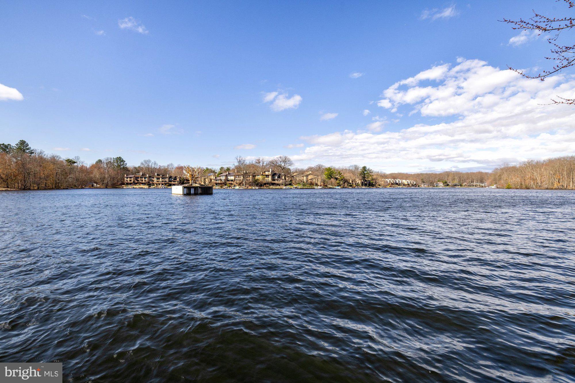 11120 Harbor Court, Unit 1120 Reston, VA 20191 - Photo 46 of 55 a view of lake and city