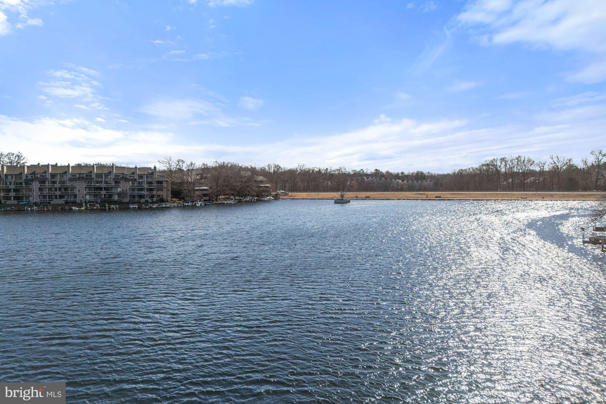 11120 Harbor Court, Unit 1120 Reston, VA 20191 - Photo 50 of 55 a view of lake view and mountain view