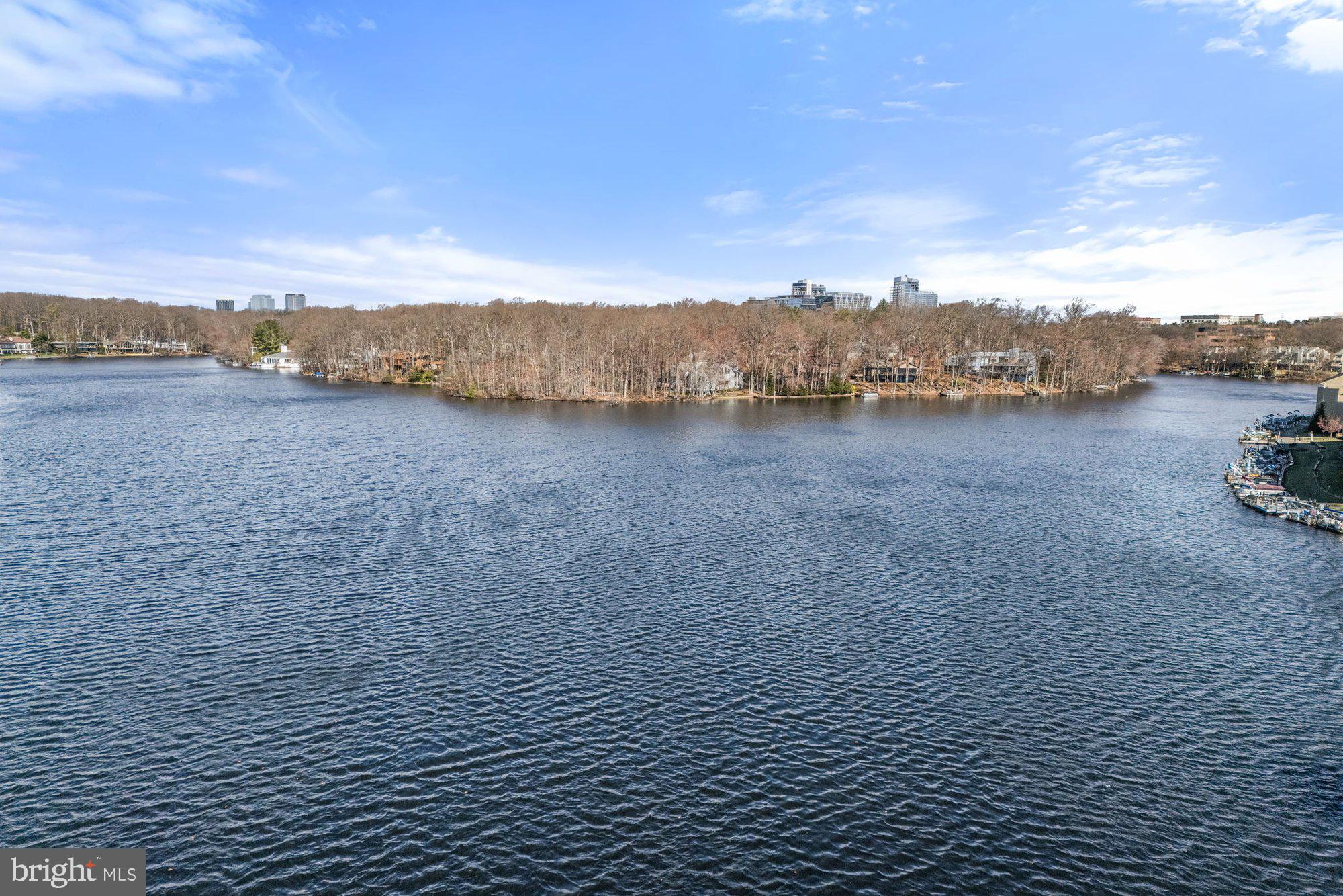 11120 Harbor Court, Unit 1120 Reston, VA 20191 - Photo 51 of 55