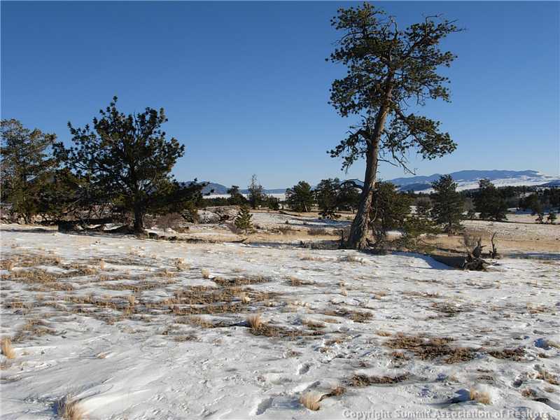 1570 Yellowstone Road Hartsel, CO 80449 - Photo 4 of 10 View.