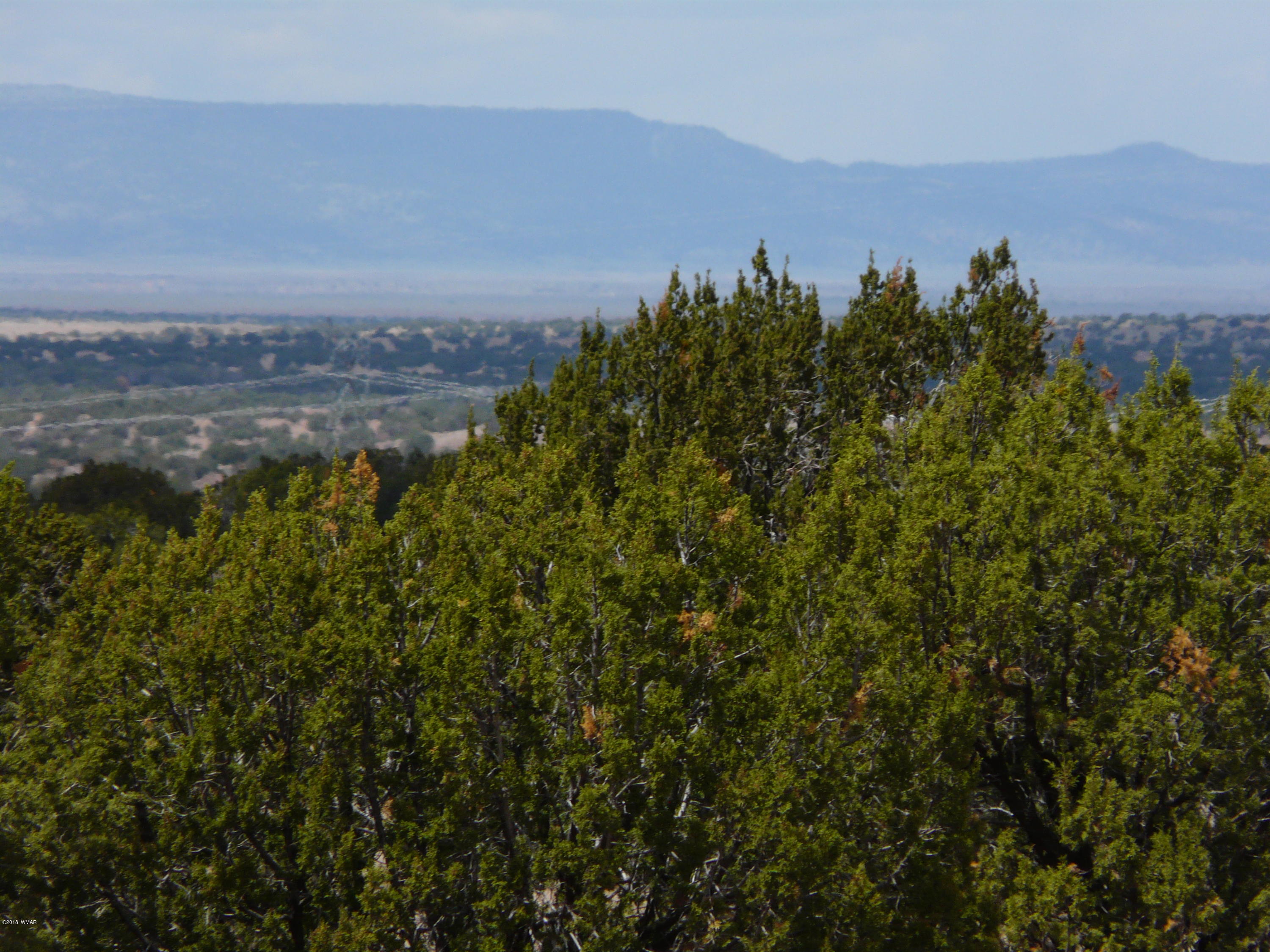 Ccr Unit 2 Ccr, Unit 2 Heber, AZ 85928 - Photo 6 of 9