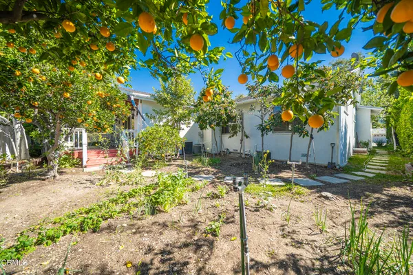 a view of a yard with plants