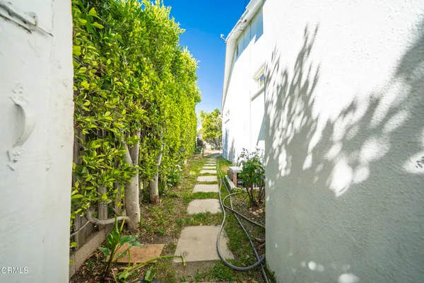 a plant that is in front of a door