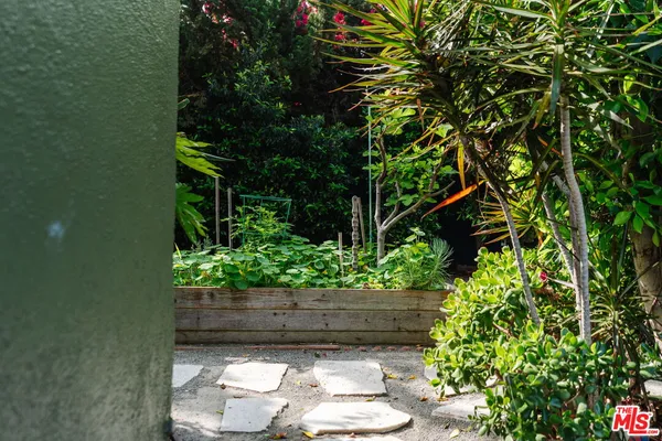 a view of a garden with flowers