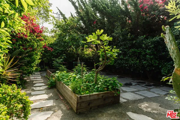 a view of a garden with plants and large trees