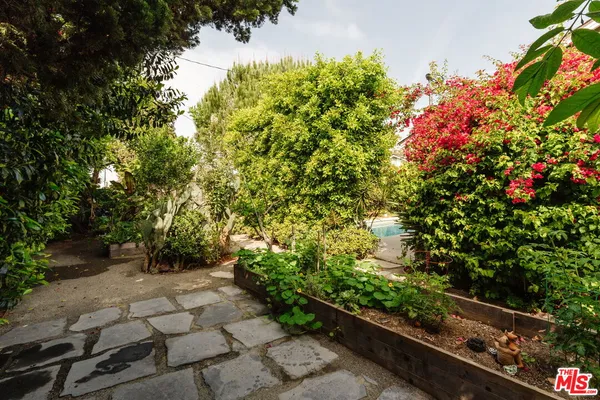 a view of yard