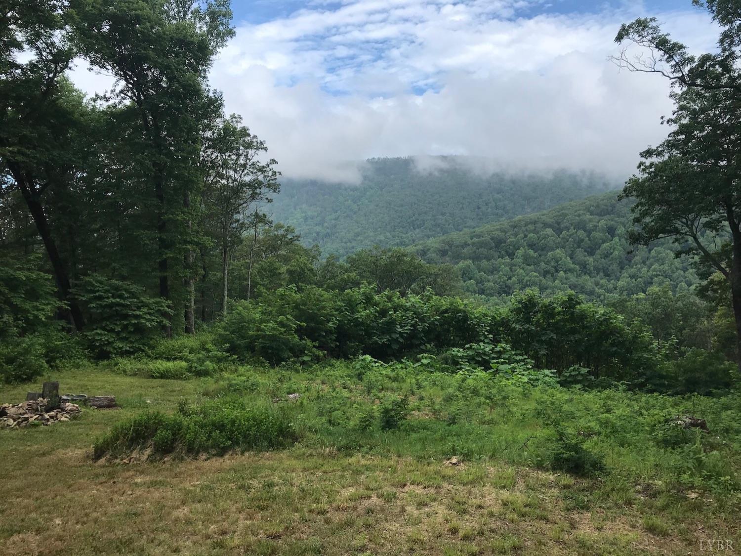 300 Scotts Branch Road Amherst, VA 24521 - Photo 2 of 16 a view of a green field with lots of bushes