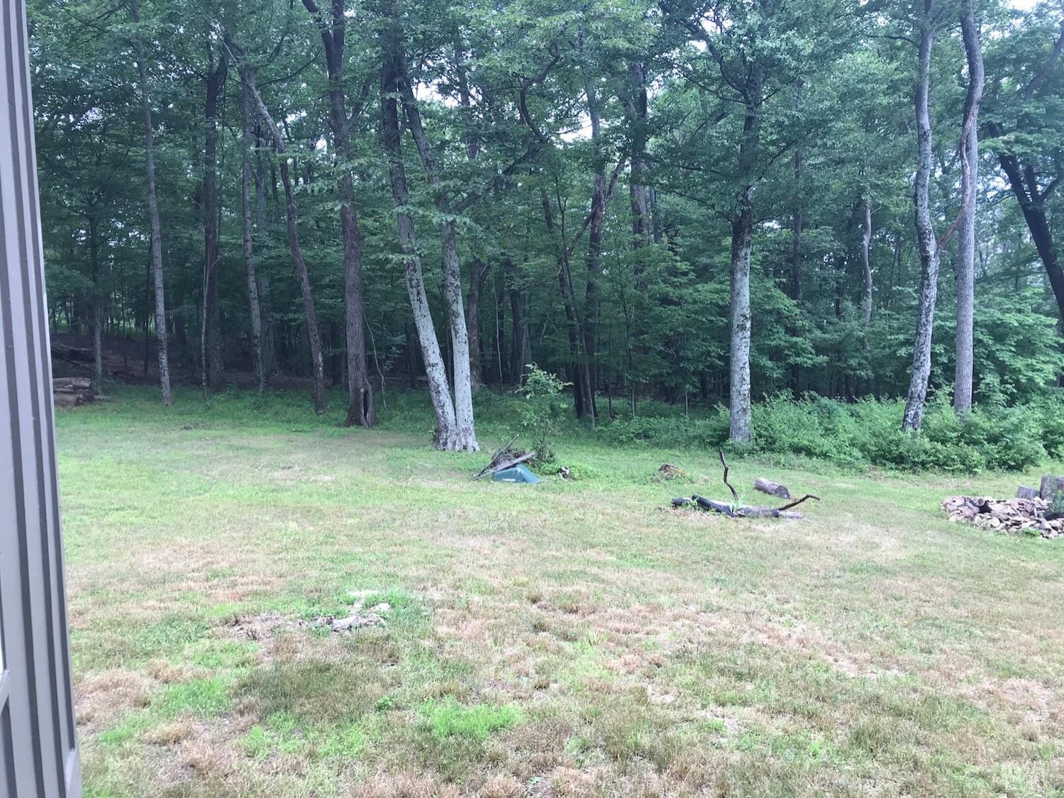 300 Scotts Branch Road Amherst, VA 24521 - Photo 11 of 16 a view of a backyard with trees