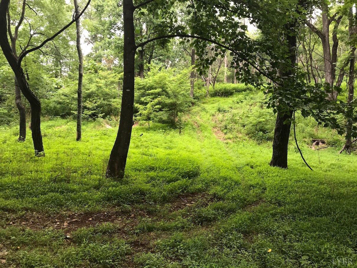 300 Scotts Branch Road Amherst, VA 24521 - Photo 13 of 16 a view of yard with large trees