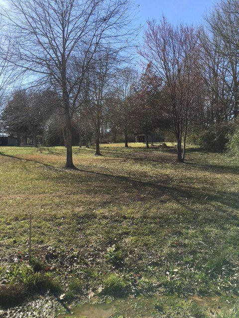 1725 Ford Road Terry, MS 39170 - Photo 1 of 3 Photo 1