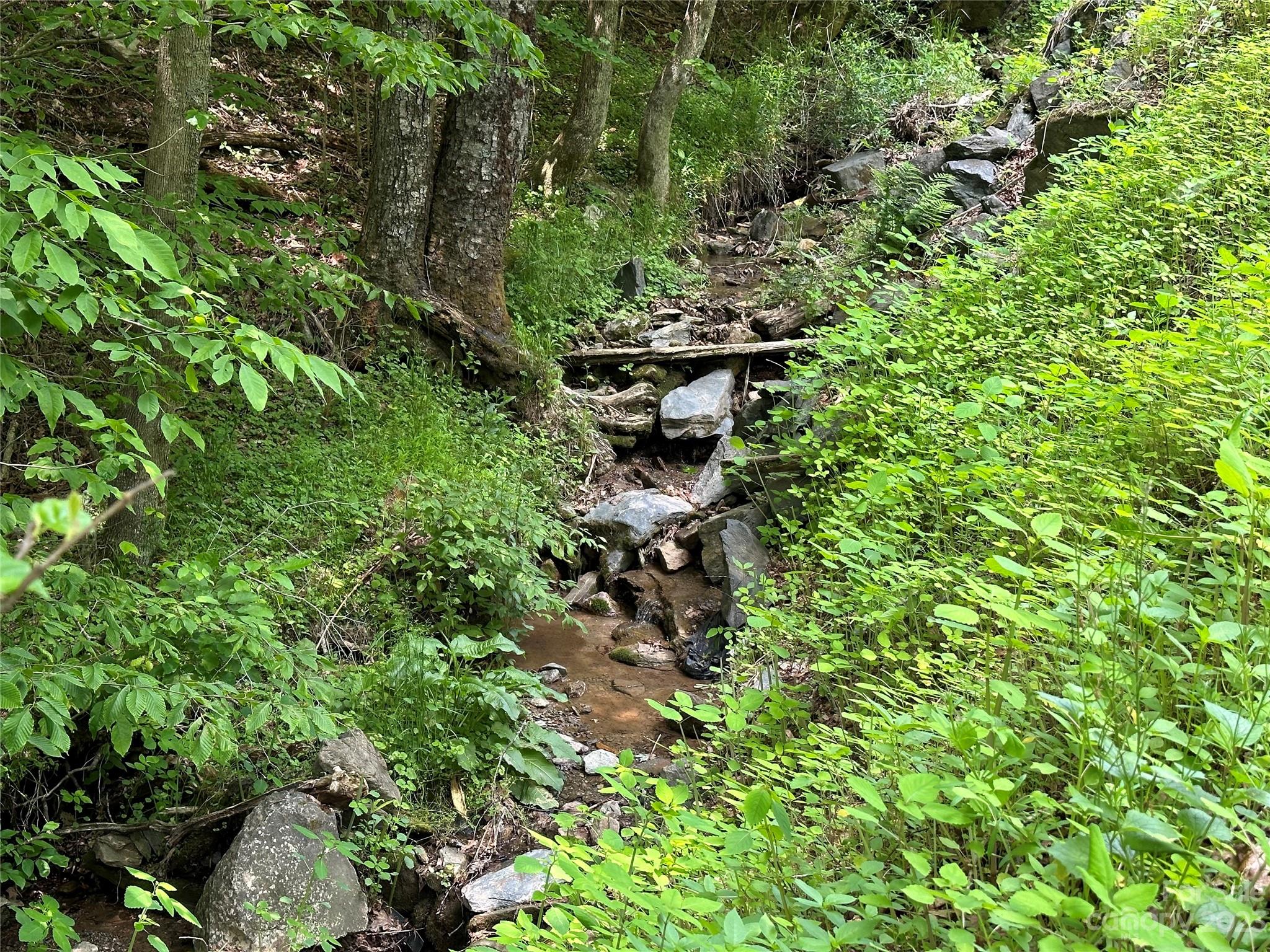 776 Niley Cook Road Blowing Rock, NC 28605 - Photo 23 of 35 Gallery Image 23