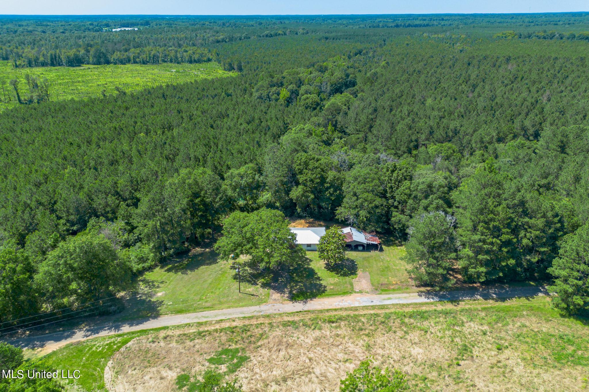 118 Laetrell Sanders Road Jayess, MS 39641 - Photo 21 of 21 58 Laetrell Sanders Road-20