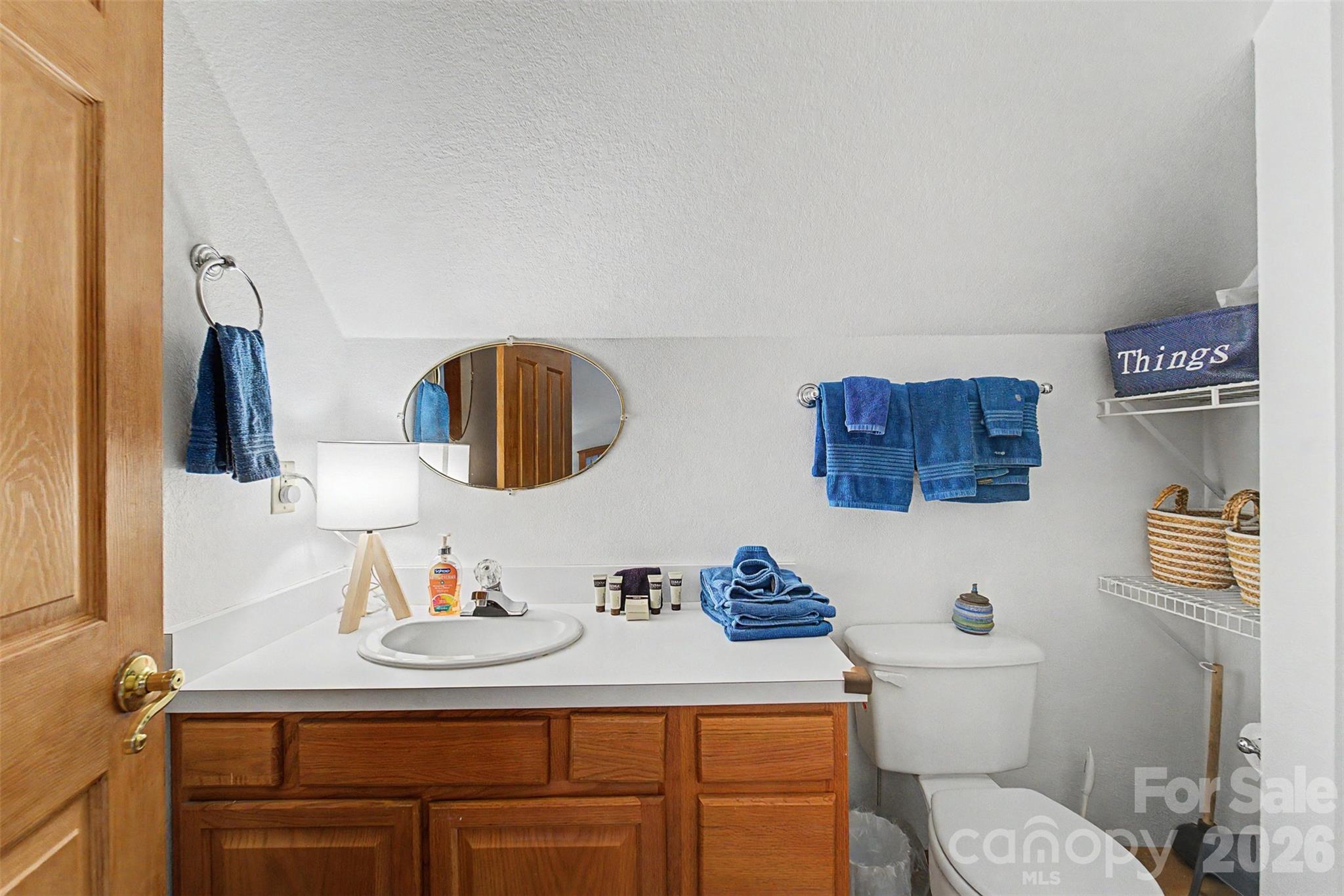 183 Ridge Place Bryson City, NC 28713 - Photo 24 of 44 a bathroom with a toilet sink and mirror
