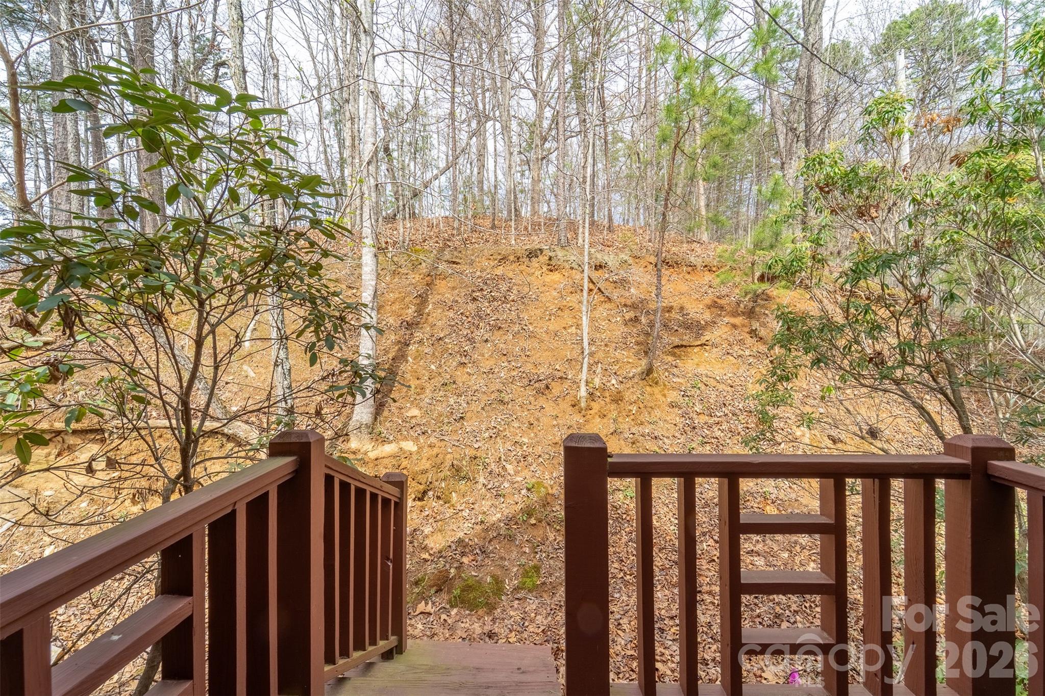 183 Ridge Place Bryson City, NC 28713 - Photo 29 of 44