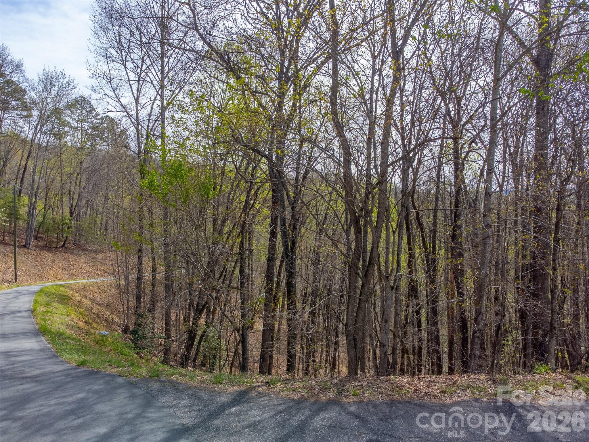 183 Ridge Place Bryson City, NC 28713 - Photo 33 of 44 a view of a backyard